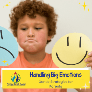 handling big emotions