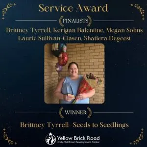 Bricky Service Award